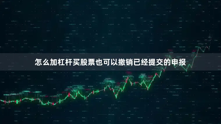 怎么加杠杆买股票也可以撤销已经提交的申报