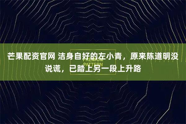 芒果配资官网 洁身自好的左小青，原来陈道明没说谎，已踏上另一段上升路